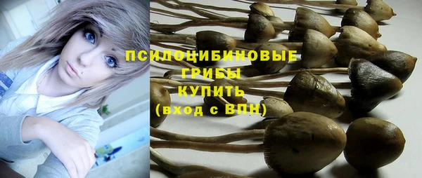 стаф Алексеевка