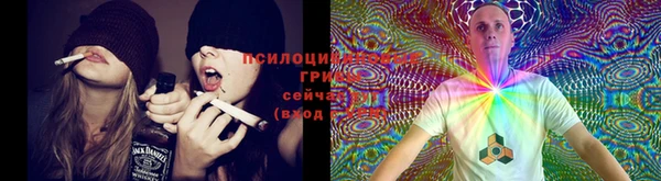 стаф Алексеевка