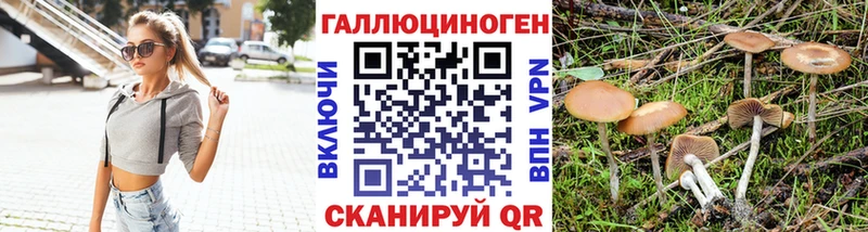 Псилоцибиновые грибы MAGIC MUSHROOMS  Павлово 