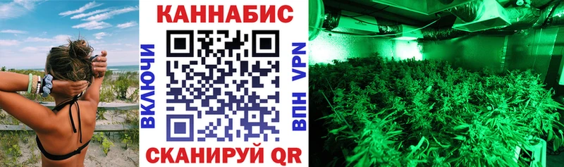 Шишки марихуана конопля  Павлово 